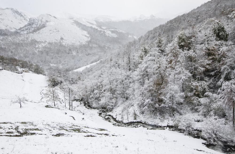 Nieve en el puerto de Ventana