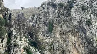 Denuncian a 13 personas por hacer ' slackline' sin permiso en un paraje de las Sierras Subbéticas de Priego