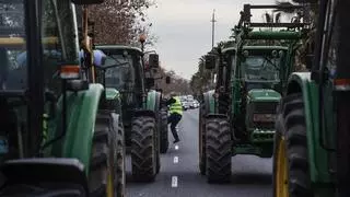 Mazón sobre las tractoradas de los agricultores: "Hay falta de defensa seria"