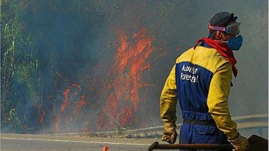 L&#039;objctiu és evitar que les flames destrossin els boscos gironins.