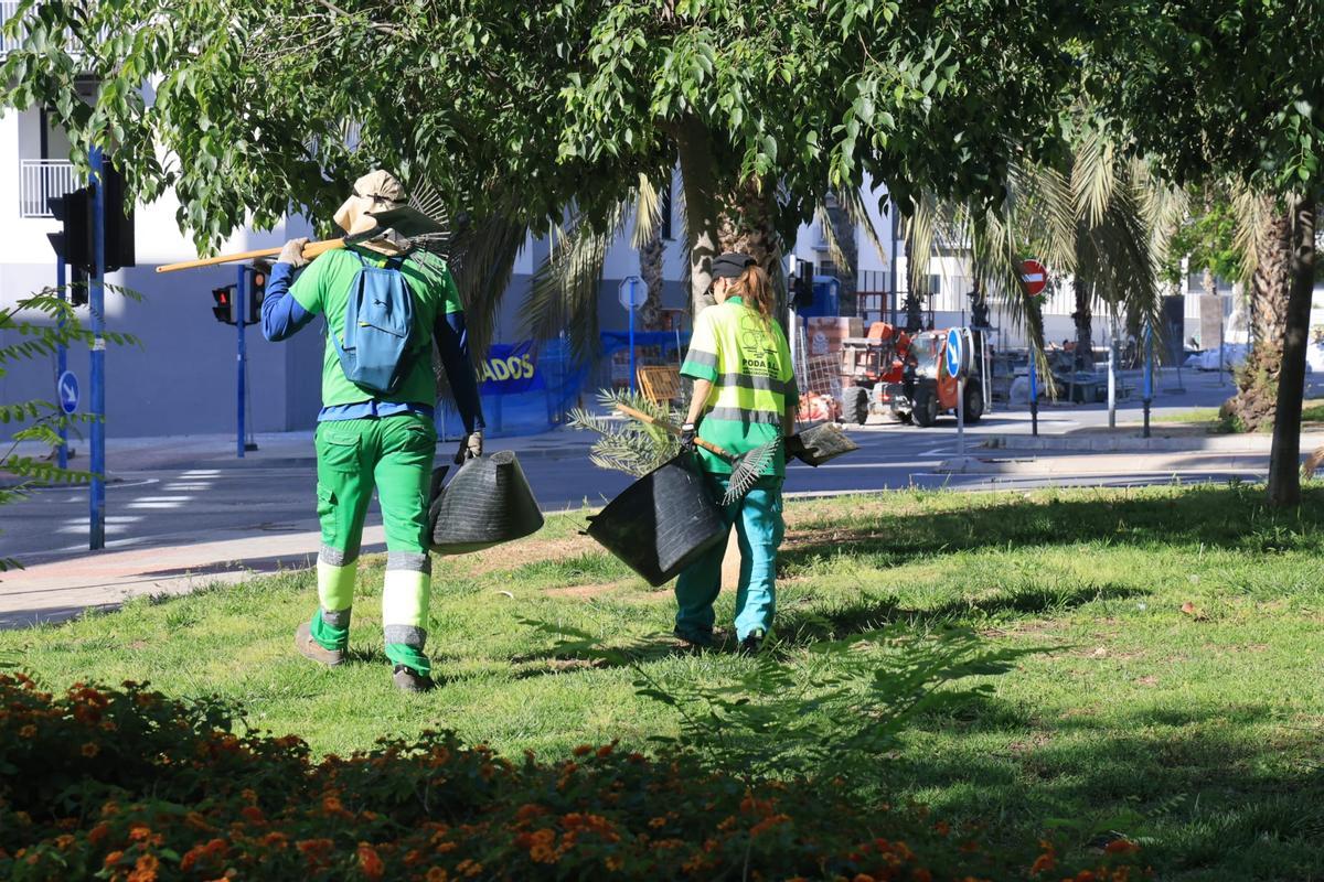 El trabajo que hace Anilia, asociación de inserción laboral para personas con discapacidad intelectual a la que el Ayuntamiento de Alicante le debe 160.000 euros