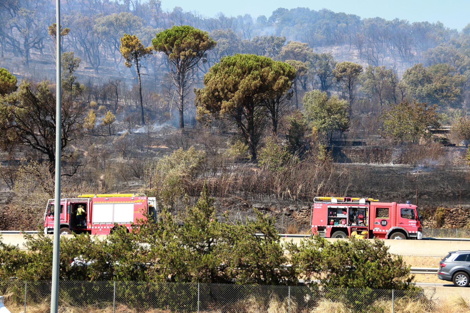 Incendi de vegetació a la Jonquera