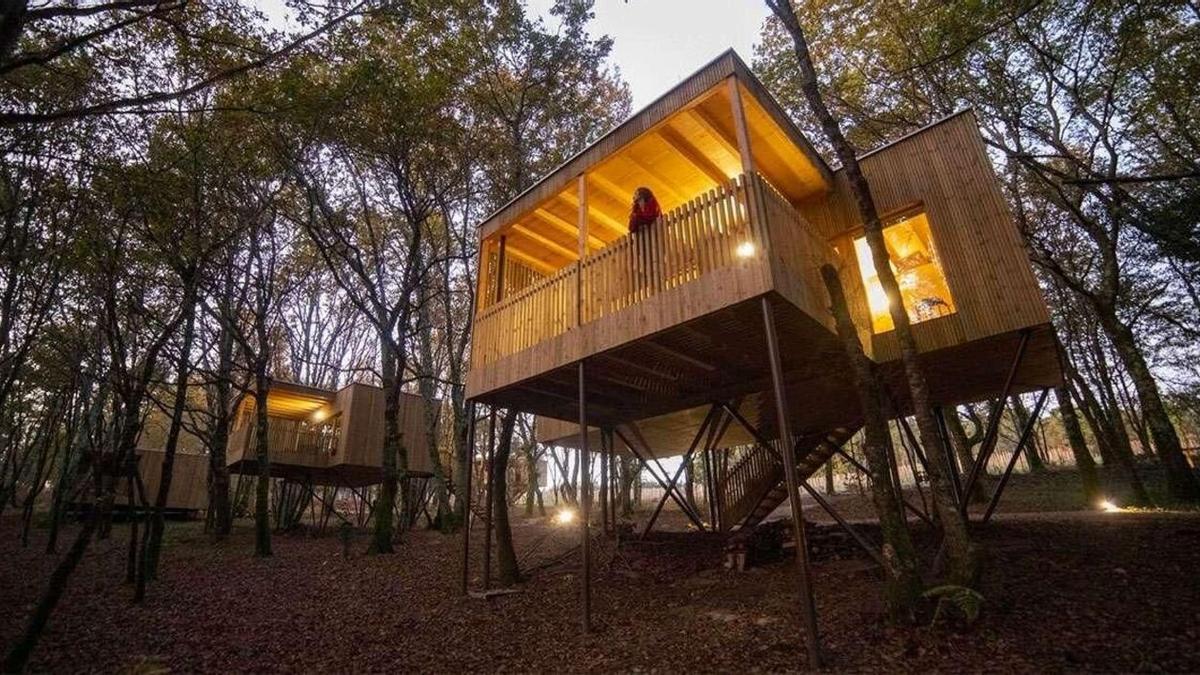 Los bonos están disponibles para su descarga desde este viernes