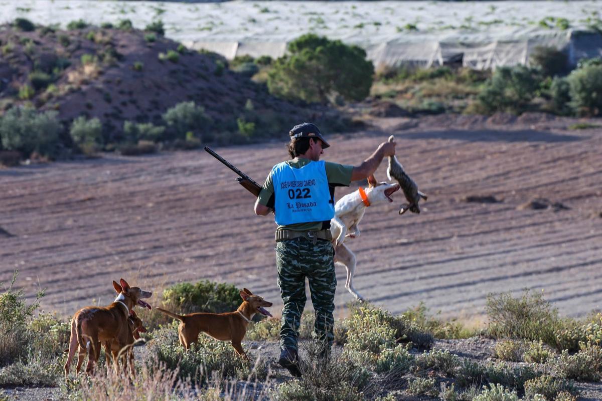 Un cazador sostiene un conejo junto a una explotación agraria de la provincia.