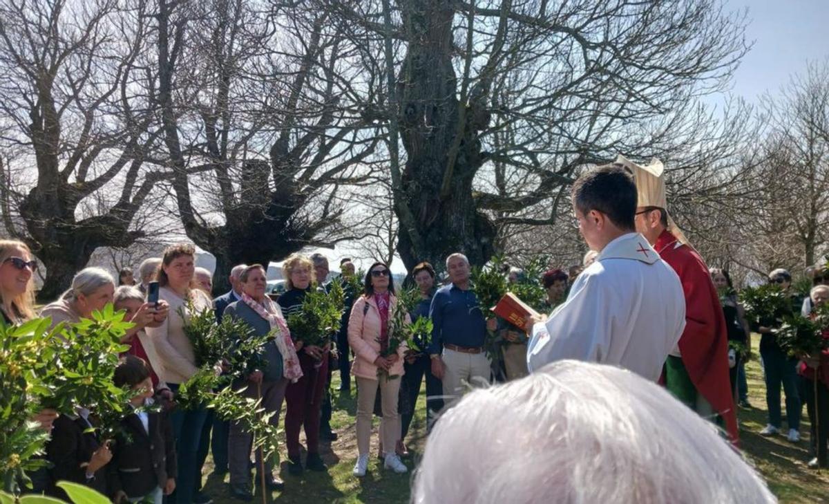 Celebración entre los castaños. | Araceli Saavedra