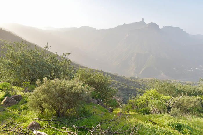 Calima en la cumbre de Gran Canaria