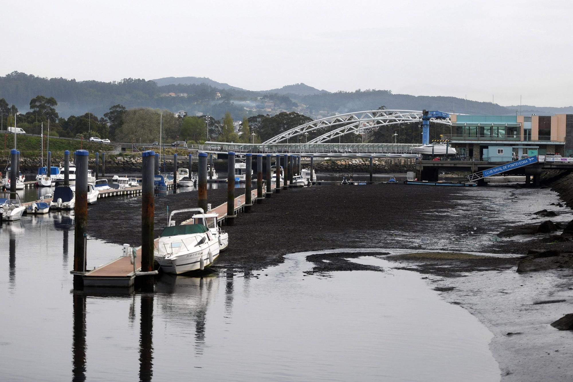 Caminando por el Lérez: las mareas vivas destapan el lecho del río