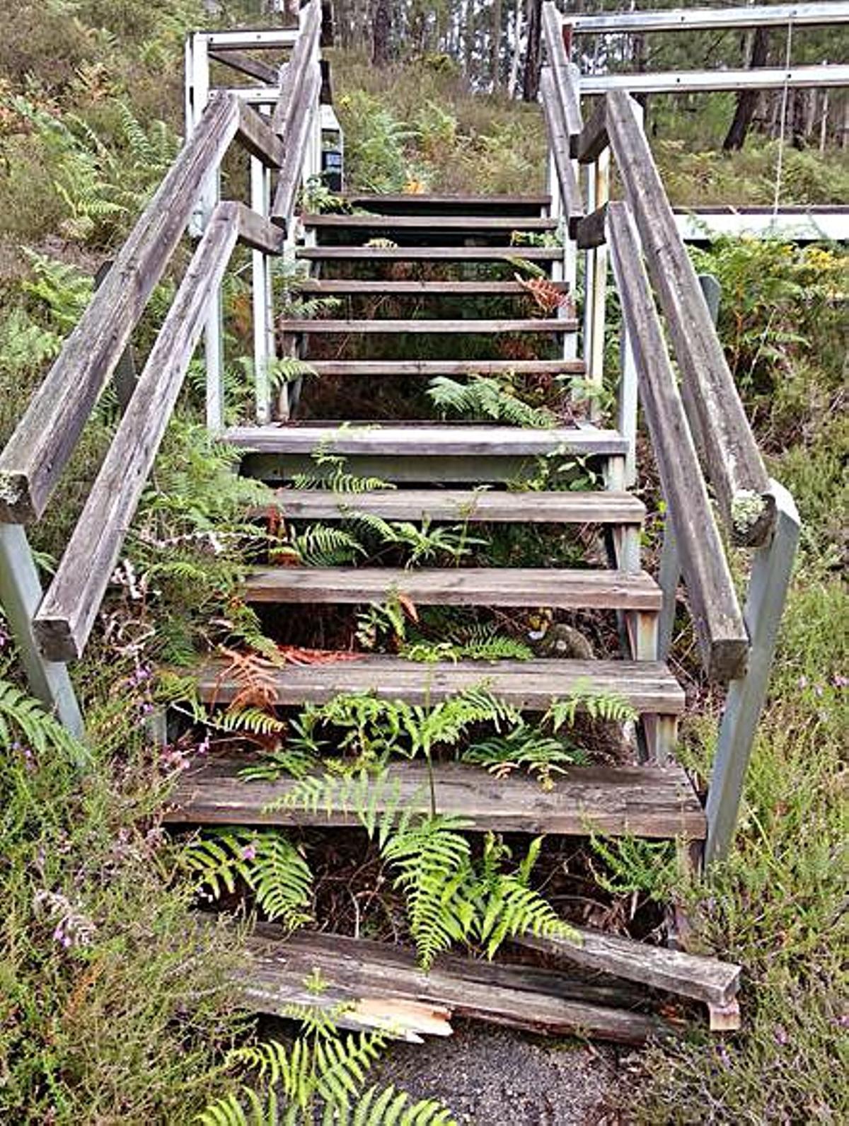 Una de las escaleras, rota.   | // B.C.