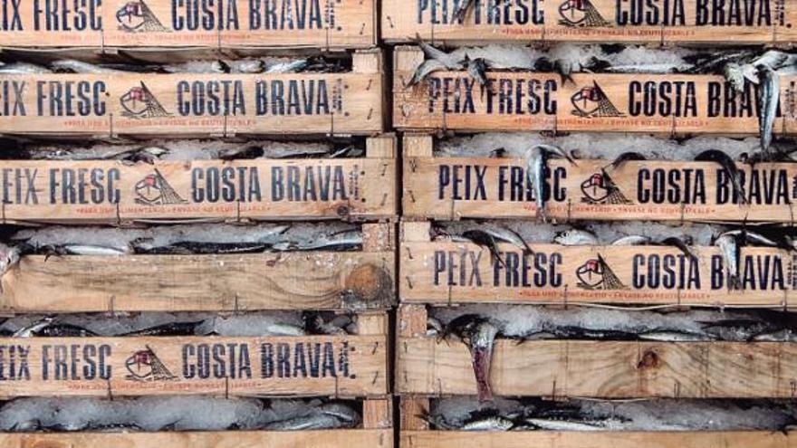 Setze restaurants a la campanya gastronòmica del Peix Blau Ganxó a Sant Feliu de Guíxols