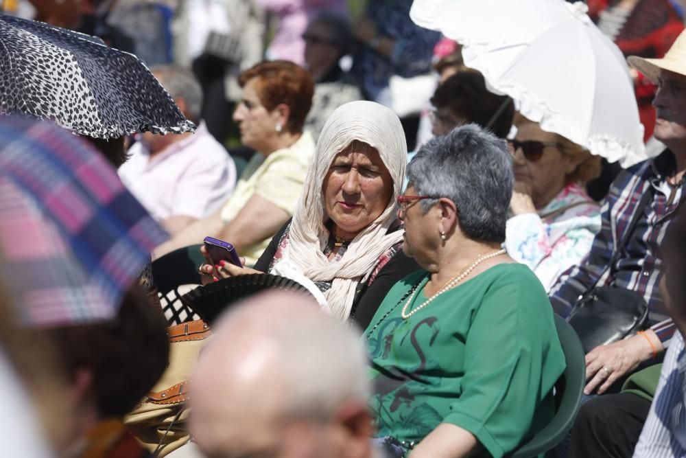 Fiestas del Puchero en Villalegre y rito del beso en la Ermita de la Luz.