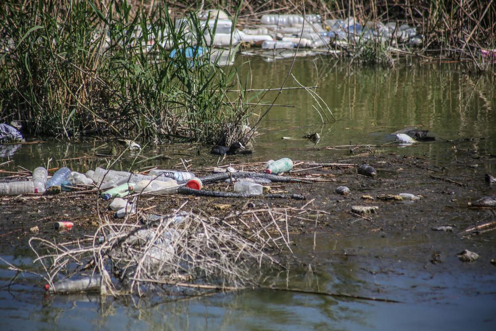 Aspecto que presenta ahora la desembocadura del Segura con miles de plásticos flotantes