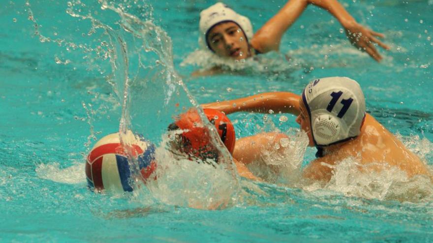 Un partido de waterpolo en la piscina de Los Almendros.