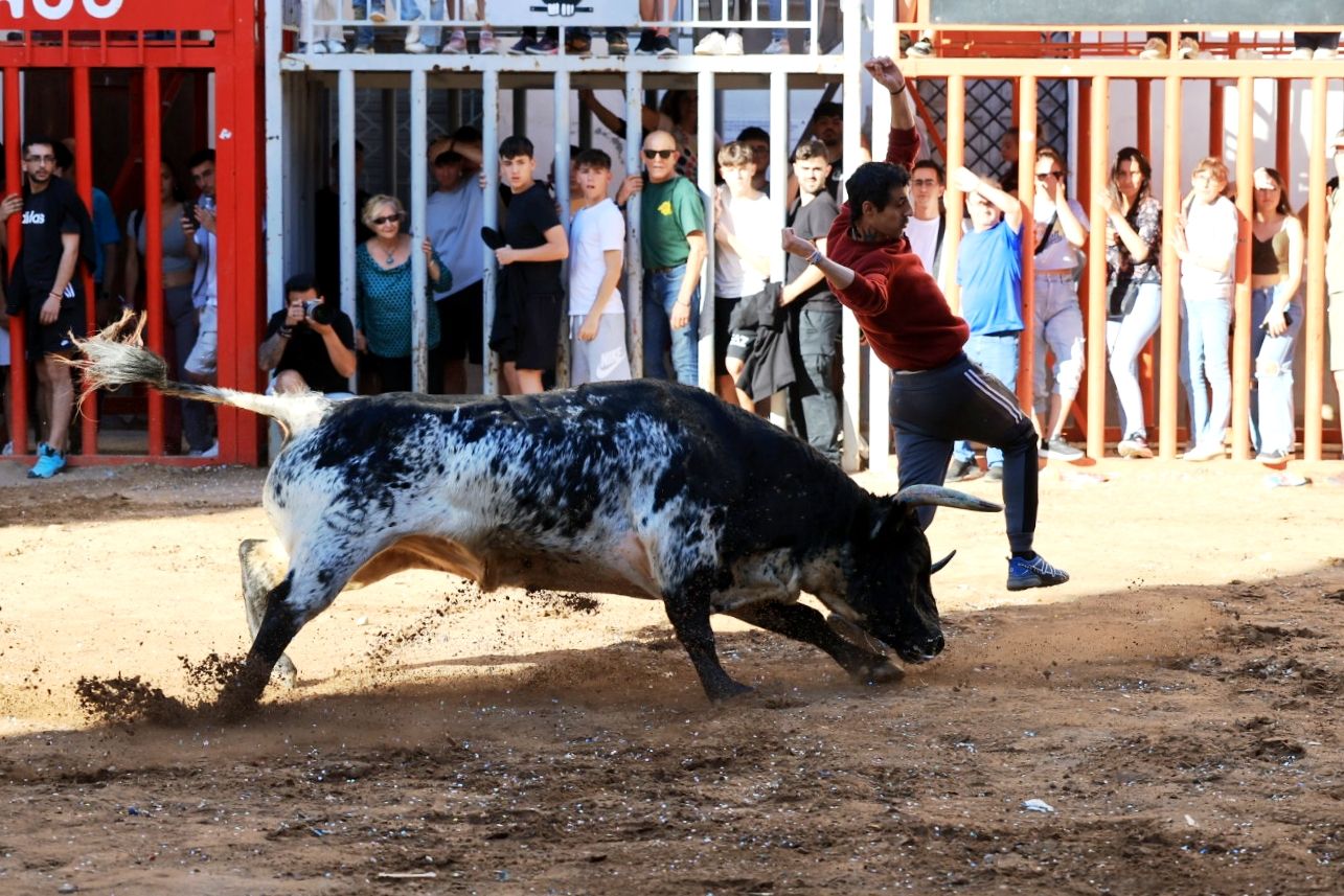 Las fotos de la tarde taurina del lunes de fiestas de Santa Quitèria en Almassora