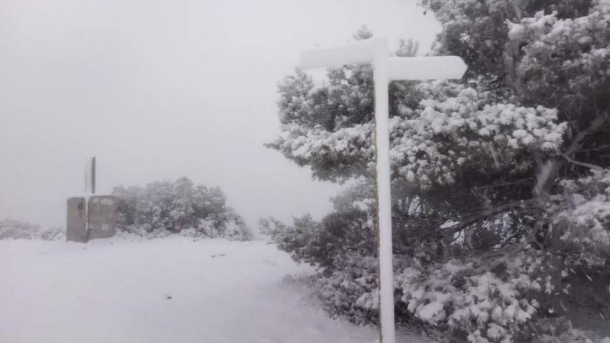 ÚLTIMA HORA: La nieve llega a la provincia y tiñe de blanco Aitana y el Maigmó