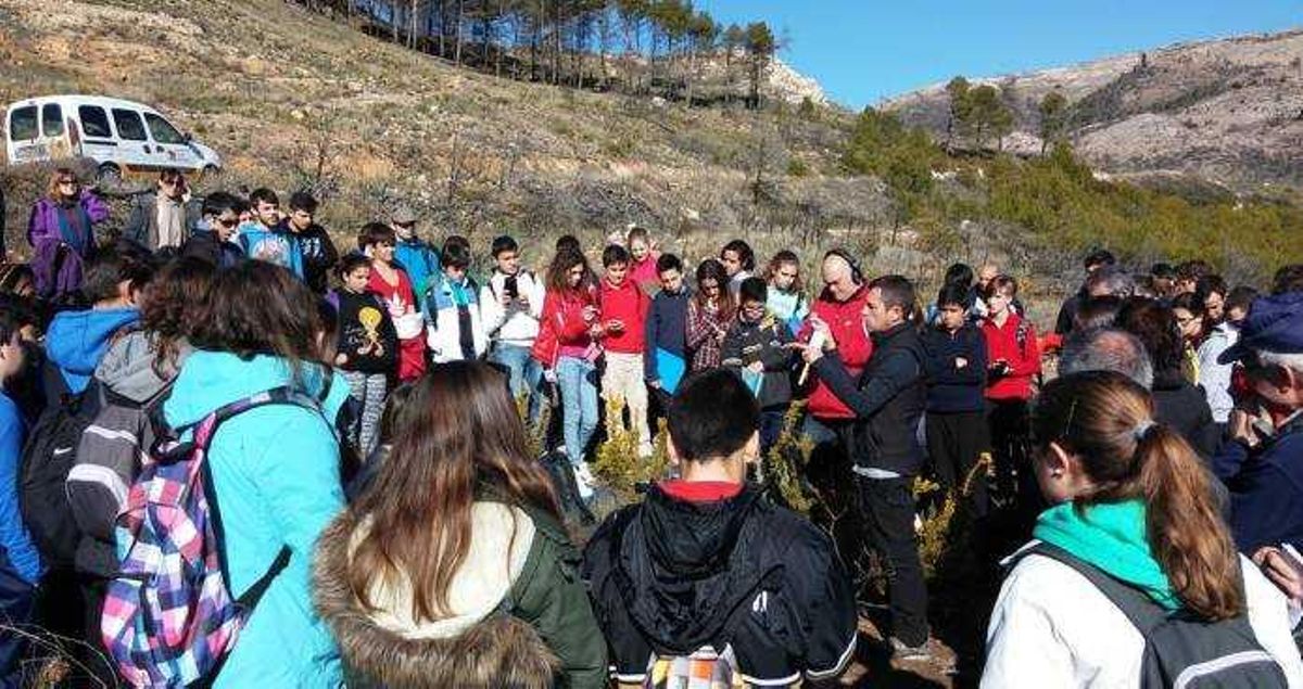 La UMH y tres institutos de Alcoy analizan el impacto del incendio forestal de Serelles