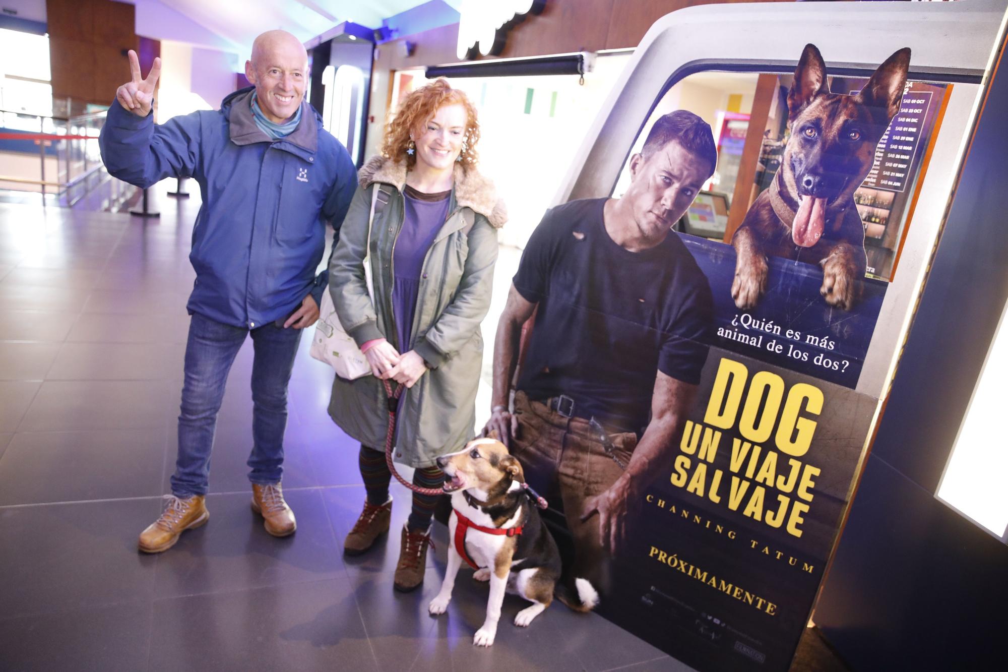 En imágenes: los perros ya van al cine en Gijón