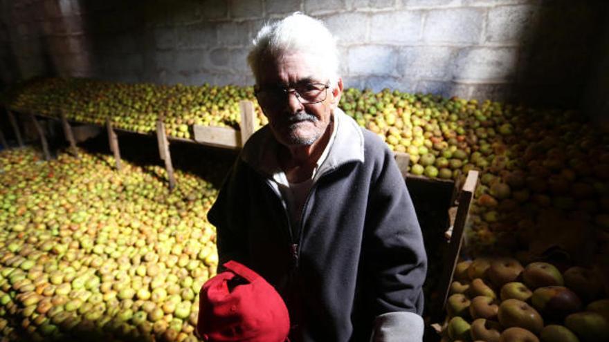 Francisco Hernández, más conocido como Pancho, junto a parte de su cosecha de manzana reineta.