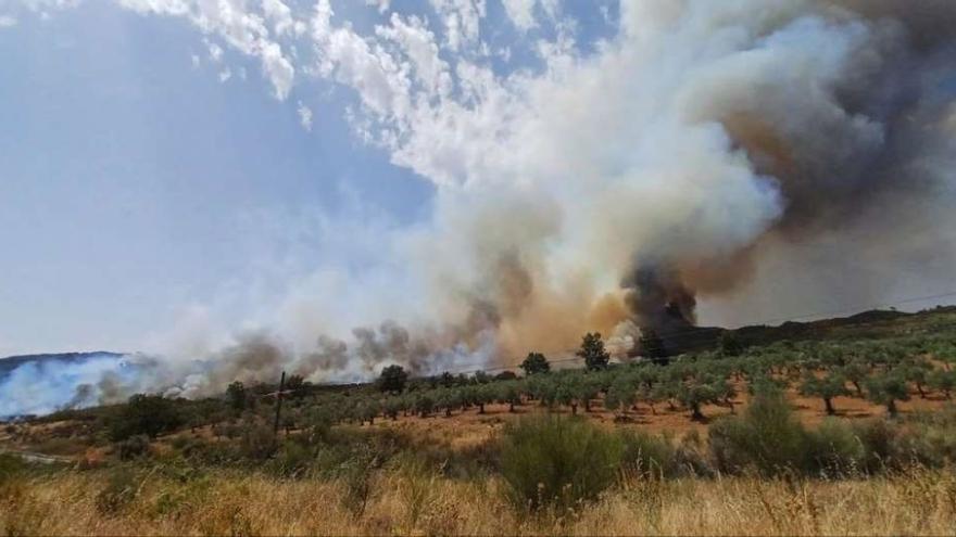 Incendio forestal en Santibáñez el Alto