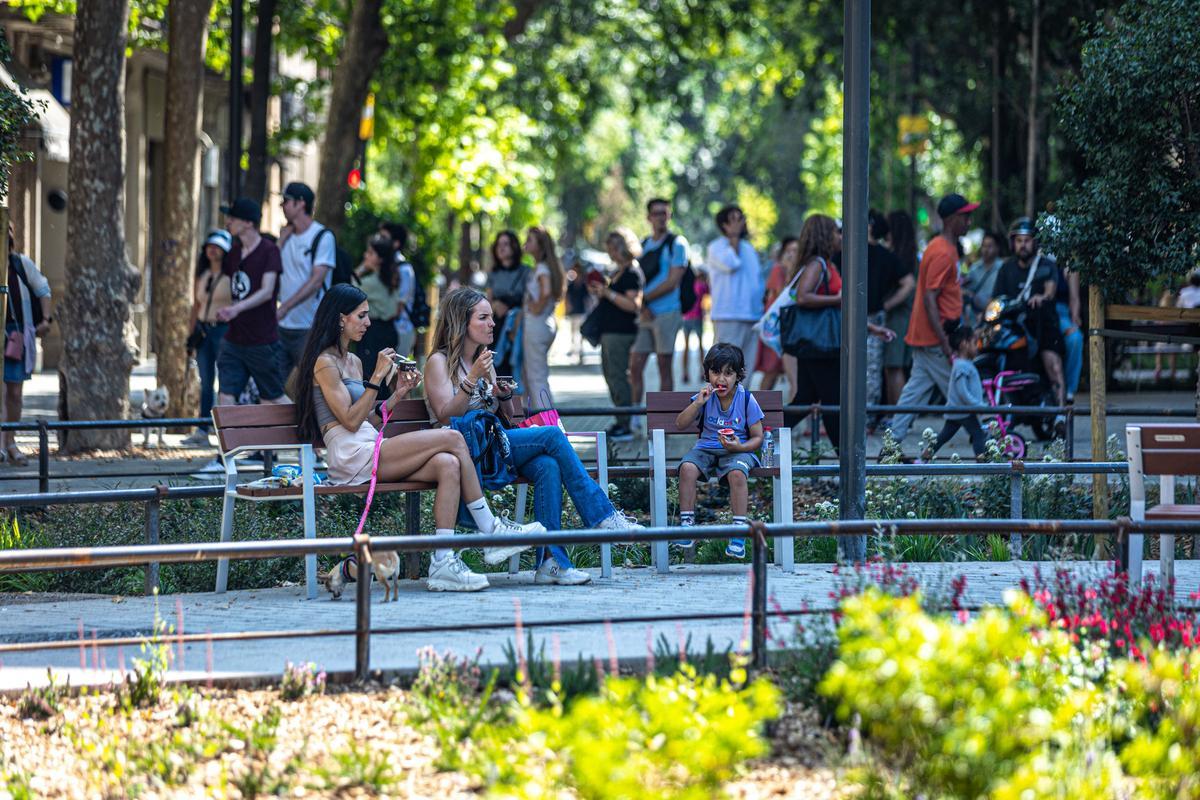 Escenas inesperadas de la Superilla del Eixample