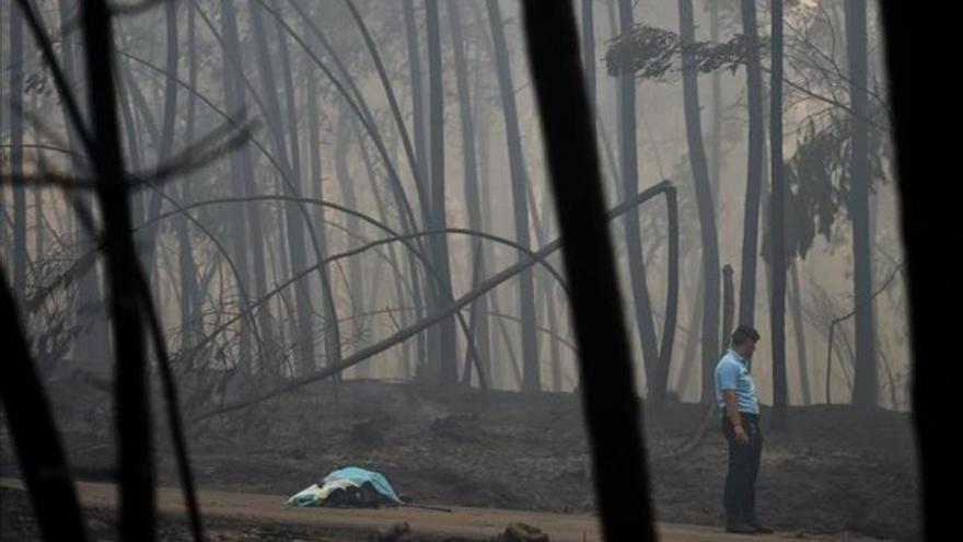 Protección Civil de Portugal espera tener controlado el incendio a finales de la mañana