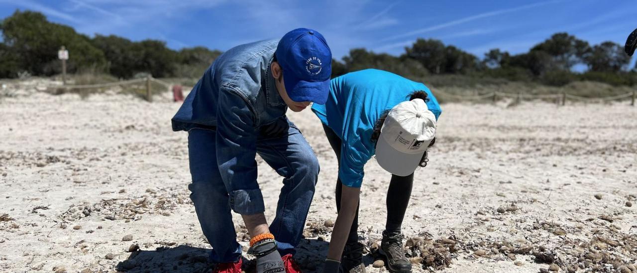 Un mar lleno de oportunidades |