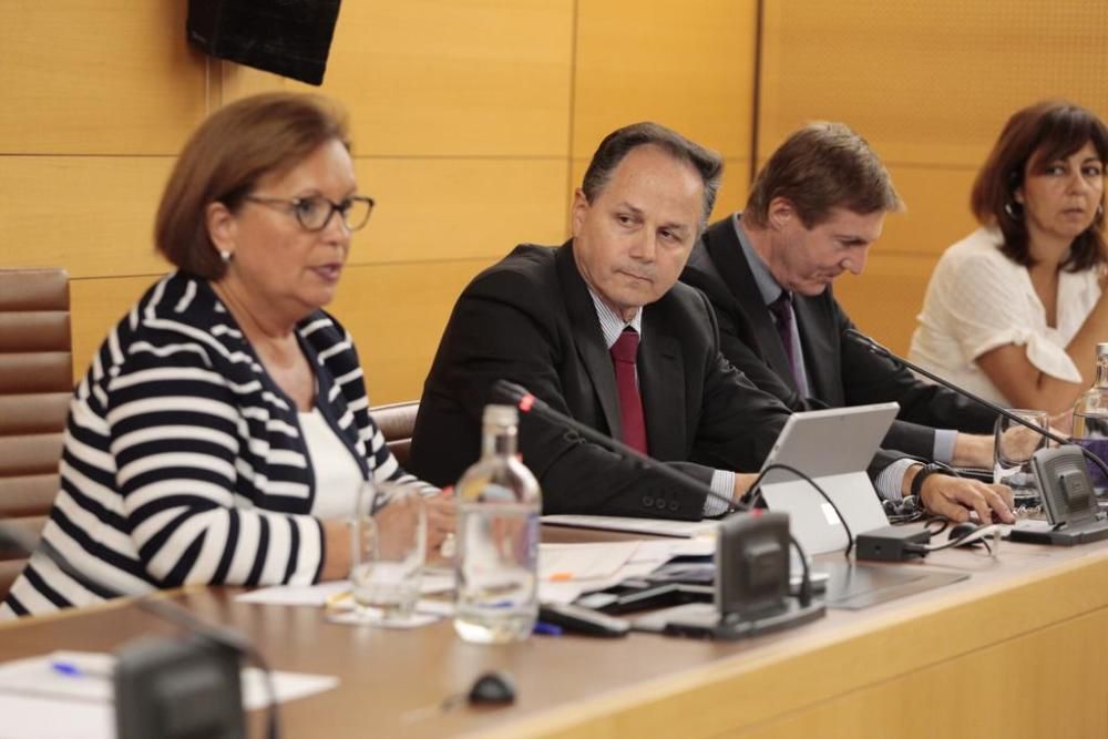 Pleno extraordinario en el Cabildo de Tenerife