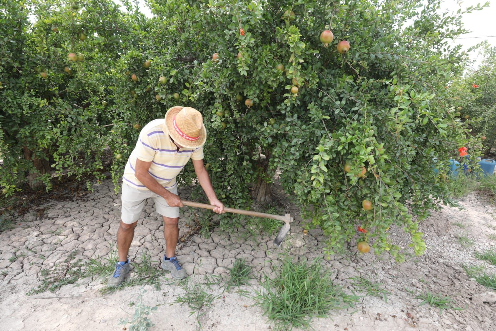 Un agricultor prepara sus tierras para recibir agua del Tajo