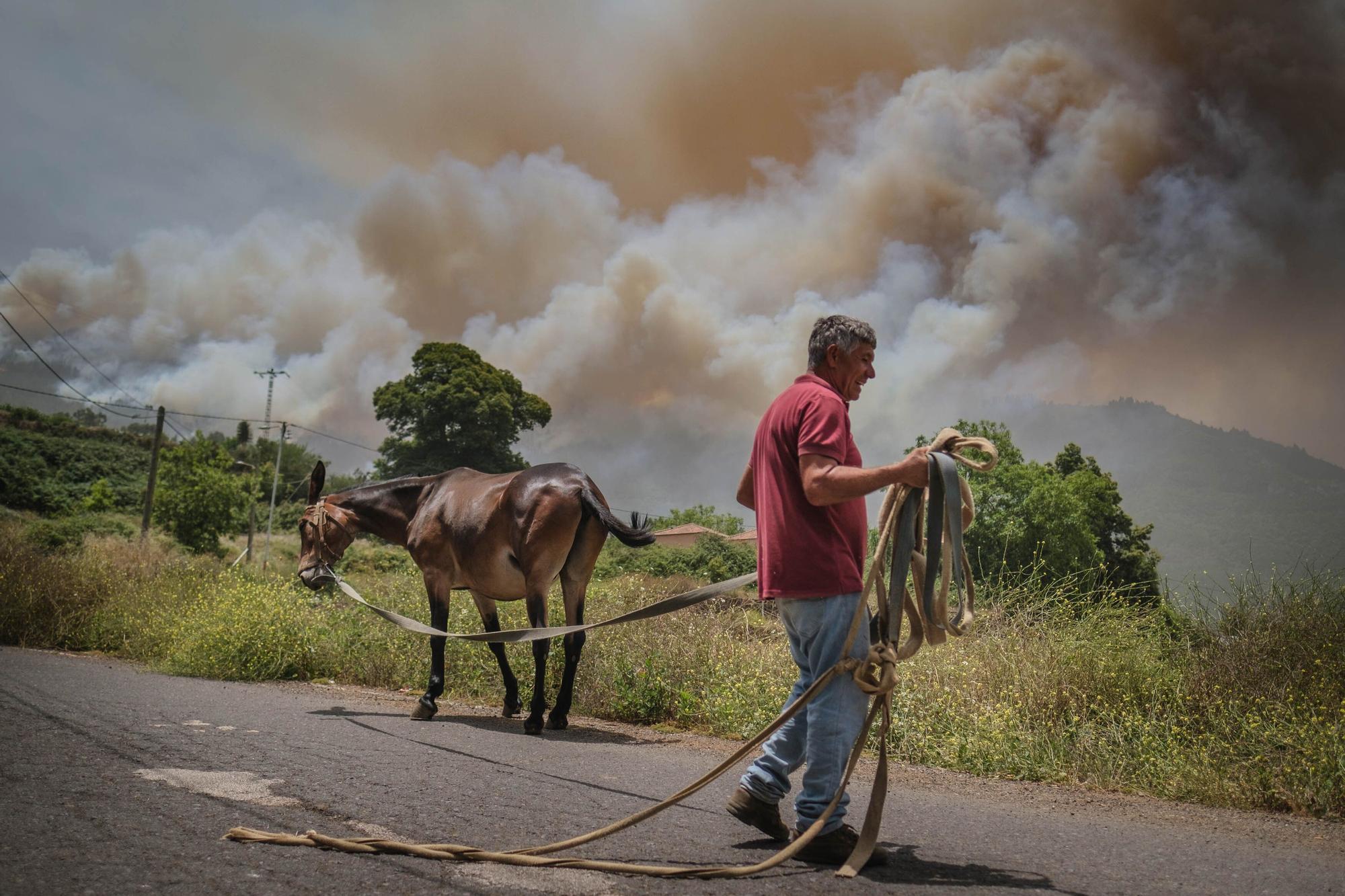 El incendio declarado en Los Realejos el pasado jueves afecta ya a cuatro municipios