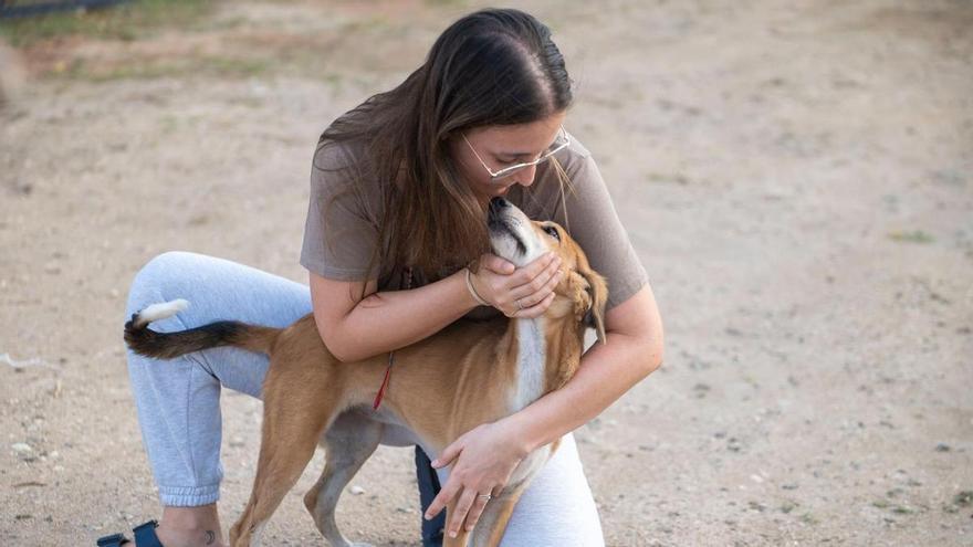 Marina Monteverde, veterinària a Eivissa: «A l’Índia tenen ficat al cap que els cans són uns lladres»