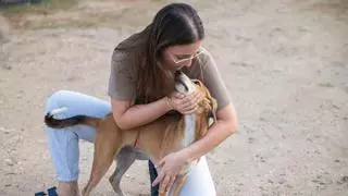 Marina Monteverde, veterinària a Eivissa: «A l’Índia tenen ficat al cap que els cans són uns lladres»