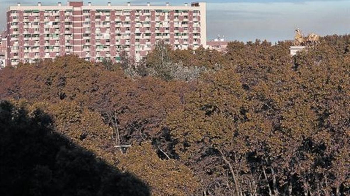 Arboleda en el parque de la Ciutadella de Barcelona, un espacio urbano con temperaturas más suaves que en zonas colindantes.