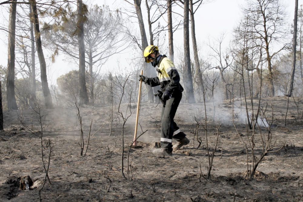 L'endemà de l'incendi de Santa Coloma de Farners