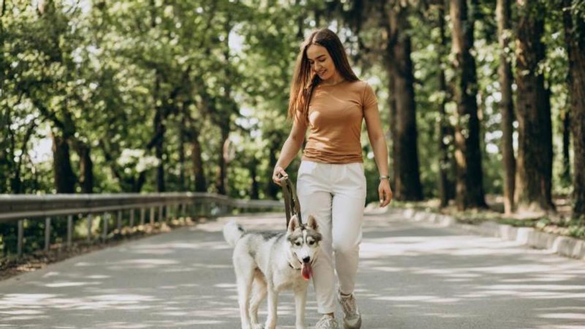 Com passeges amb la teva mascota?