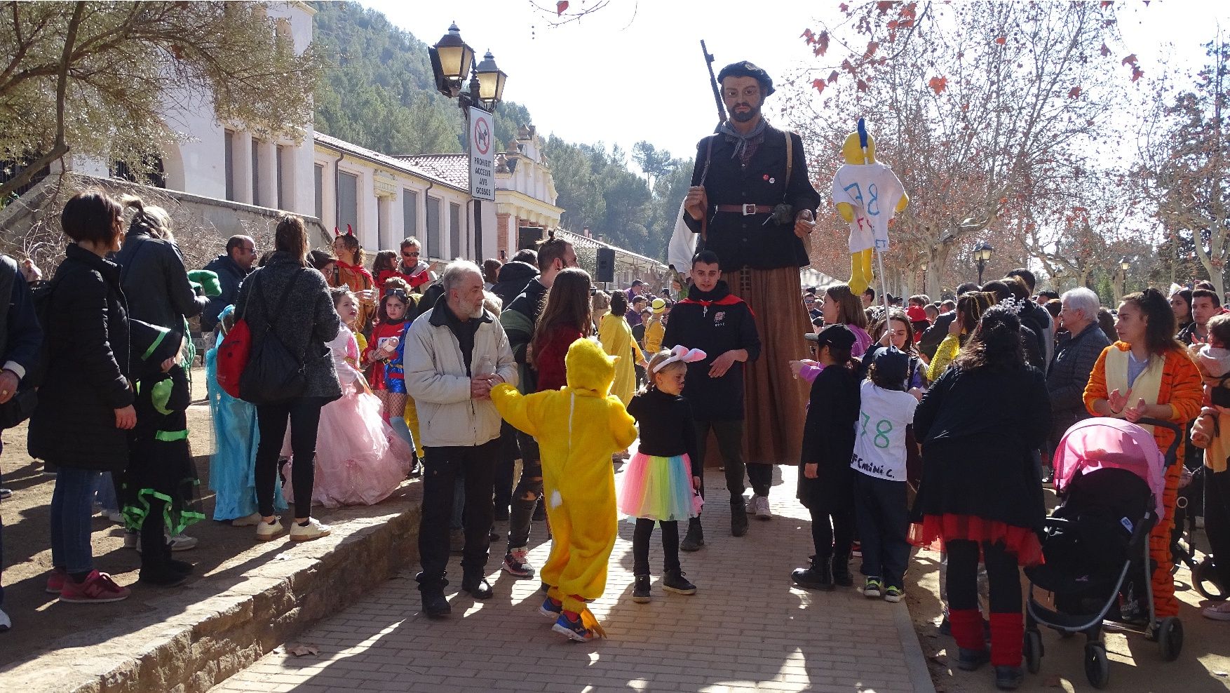 Troba't a les fotos del Carnaval infantil de Sallent