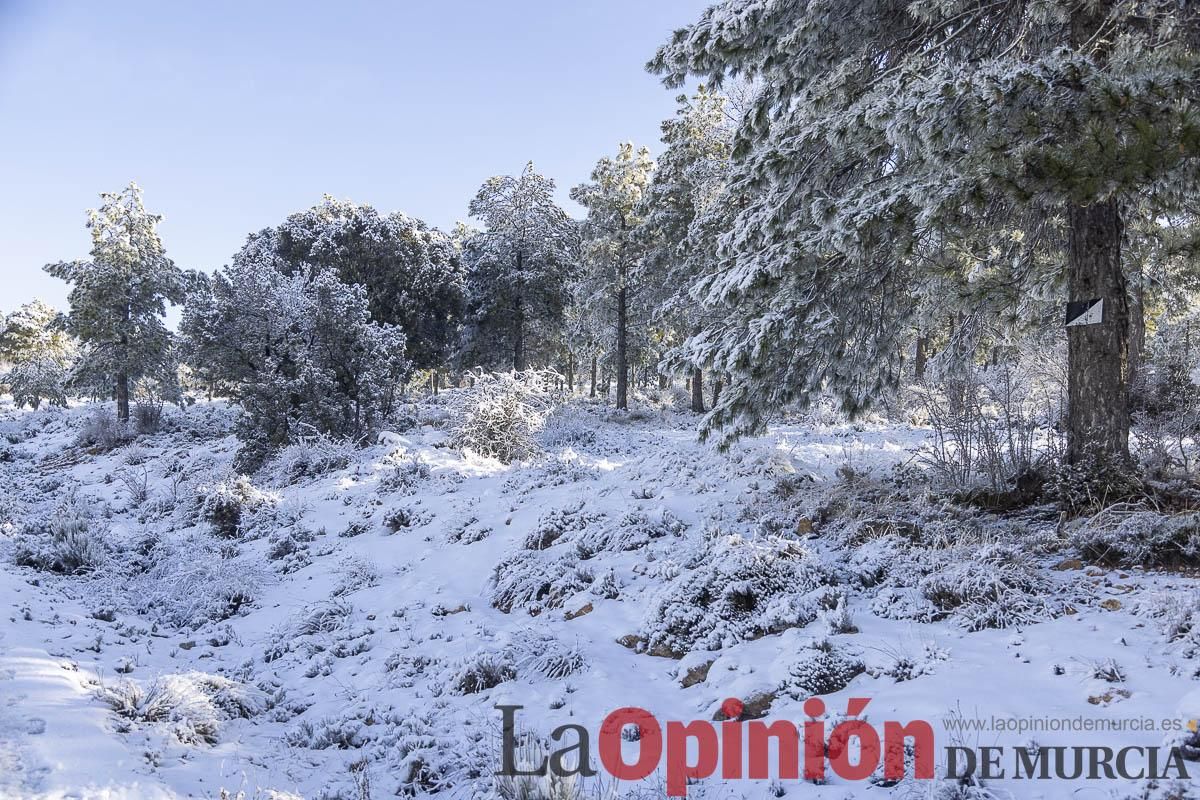 Descubre dónde queda acumulación de nieve en la Región de Murcia