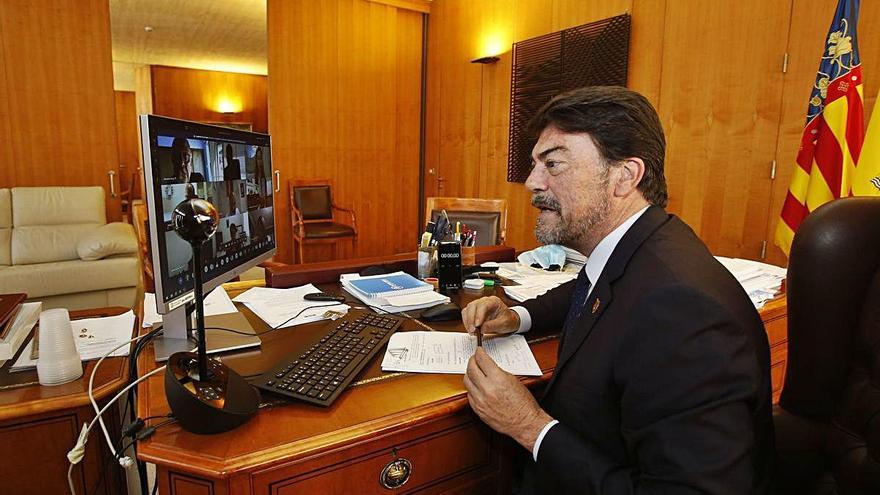 El alcalde de Alicante, Luis Barcala, siguió ayer el pleno telemático de junio desde su despacho del Ayuntamiento de Alicante.