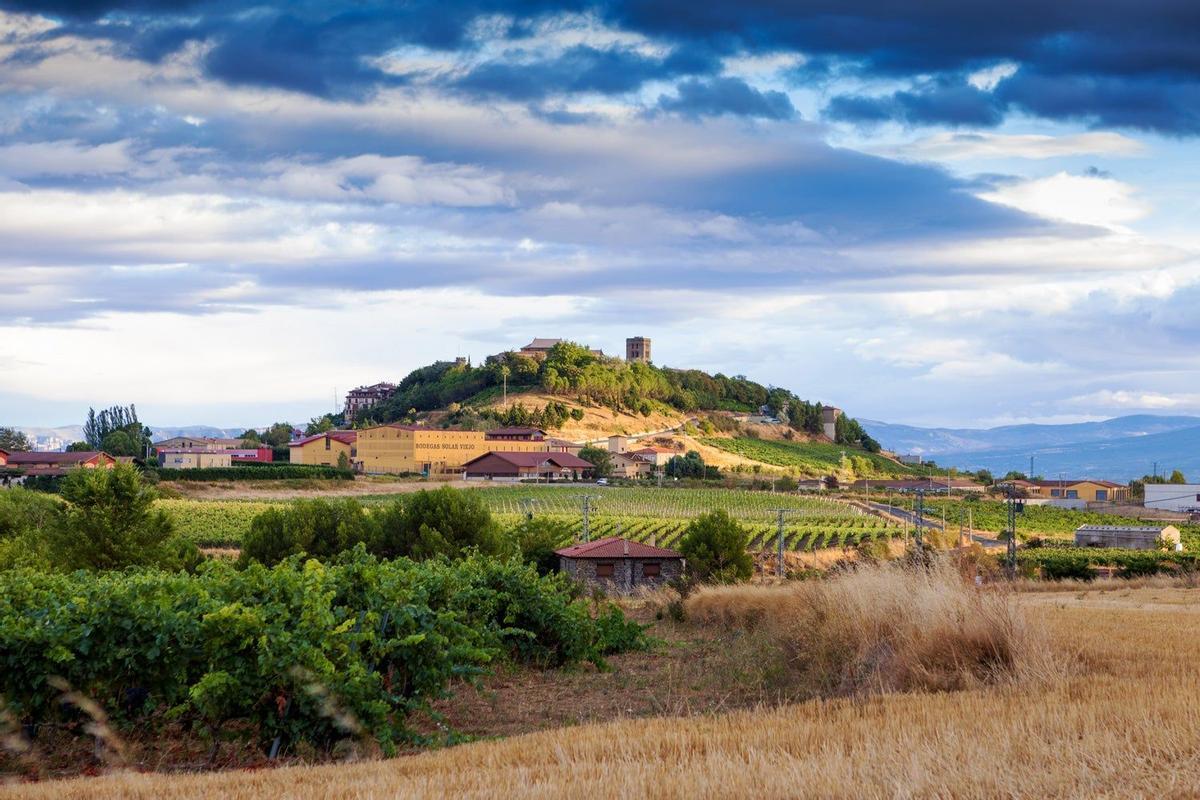 Rodeado de viñedos en La Rioja alavesa