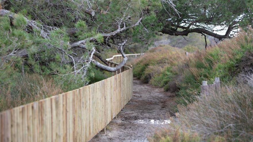 Nuevo vallado para evitar la invasión de las dunas de es Cavallet