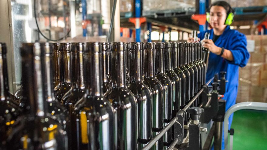 La garantía del buen vino de Tenerife: el camino de la uva a la mesa