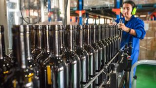 La garantía del buen vino de Tenerife: el camino de la uva a la mesa