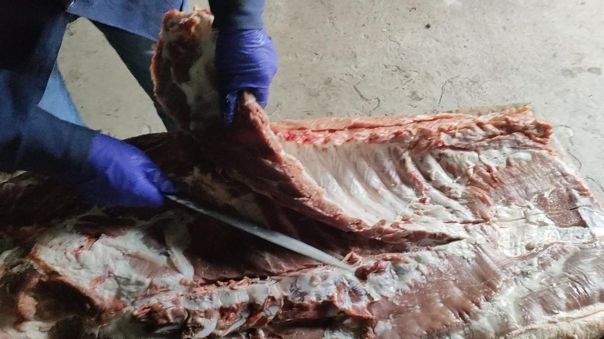 La matanza del cerdo resiste en Galicia: "Es la comida de todo el año"