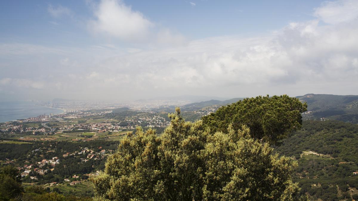 Parque de la Serralada Litoral