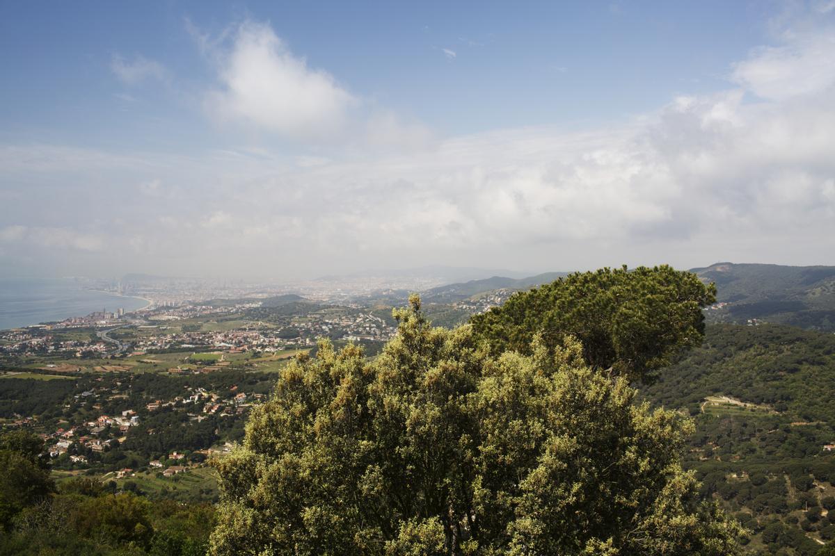 Desallotgen una festa il·legal amb una foguera en un parc natural de Premià