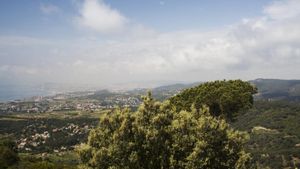 Desallotgen una festa il·legal amb una foguera en un parc natural de Premià