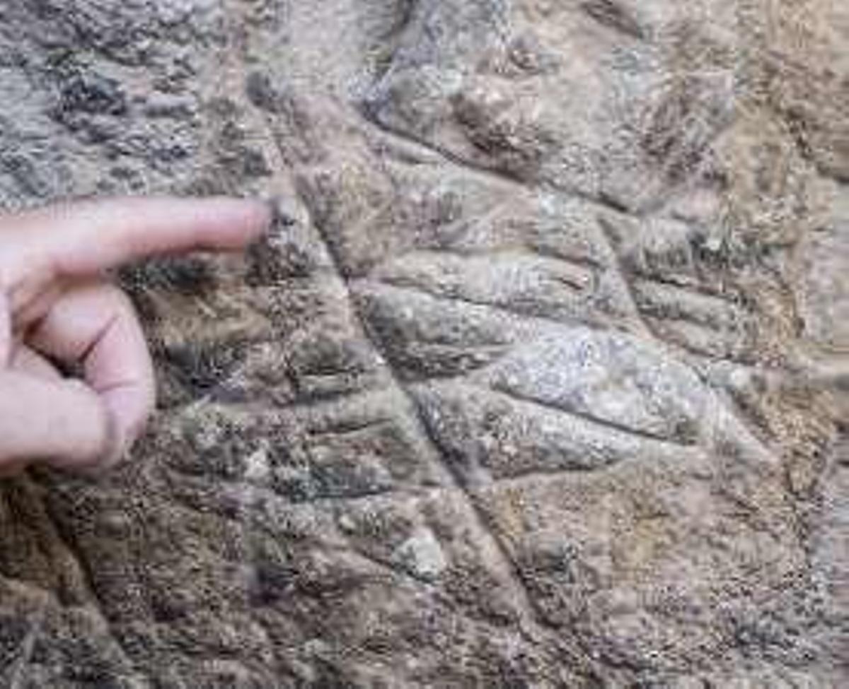 En la roca donde nació el arte en Asturias