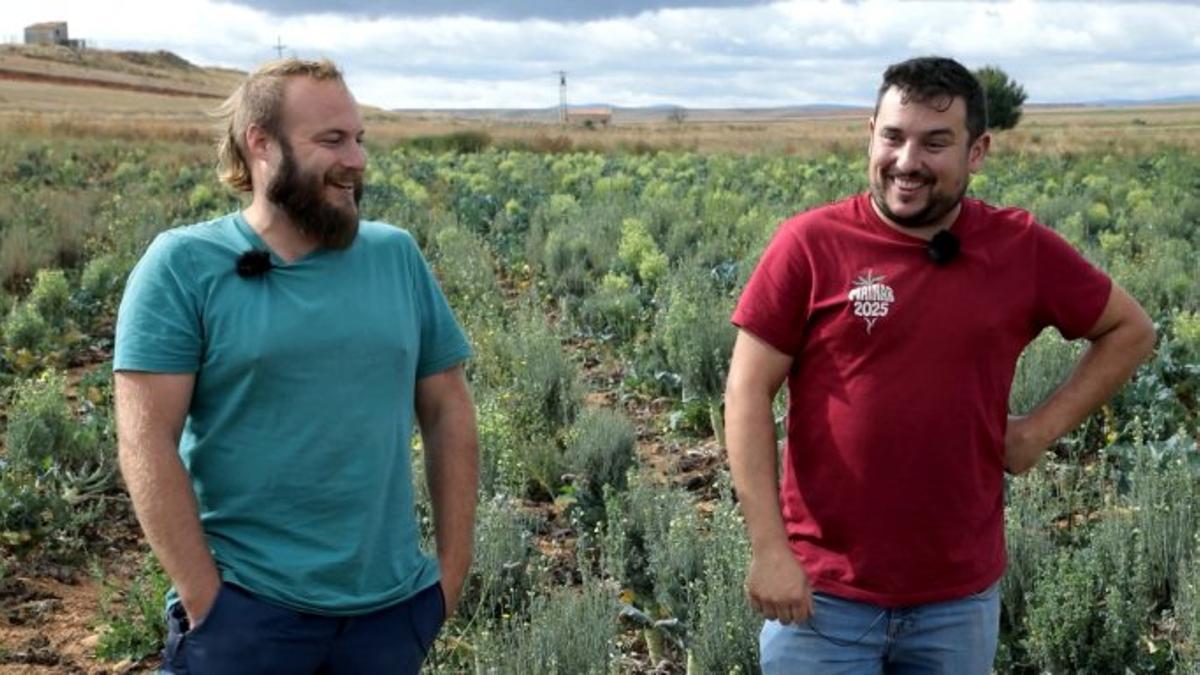 Los protagonista de 'El campo es nuestro' darán las campanadas.