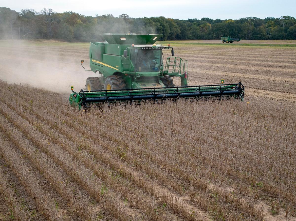 Una máquina cosechadora recolecta los campos de soja cerca de Gregory, en Arkansas, el pasado 24 de octubre.