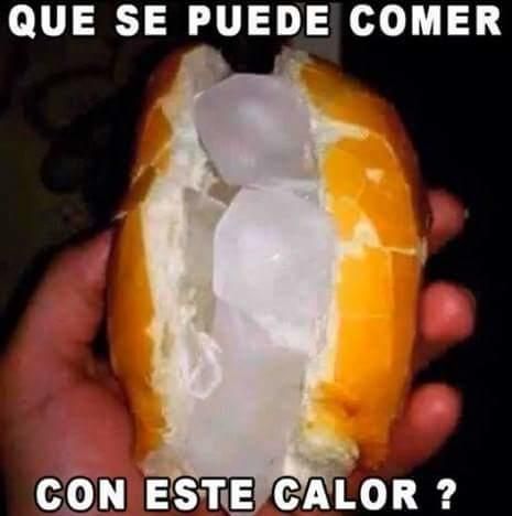 Memes sobre el calor