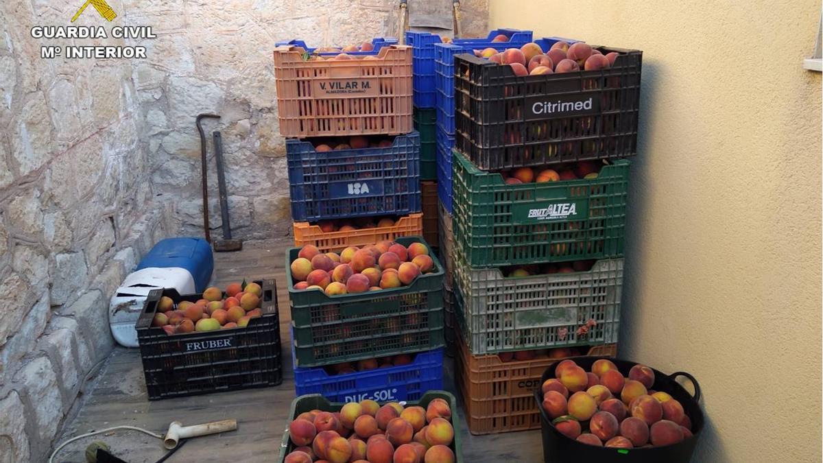 La investigación ha permitido recuperar media tonelada de fruta sustraída, en la imagen, cajas con melocotones