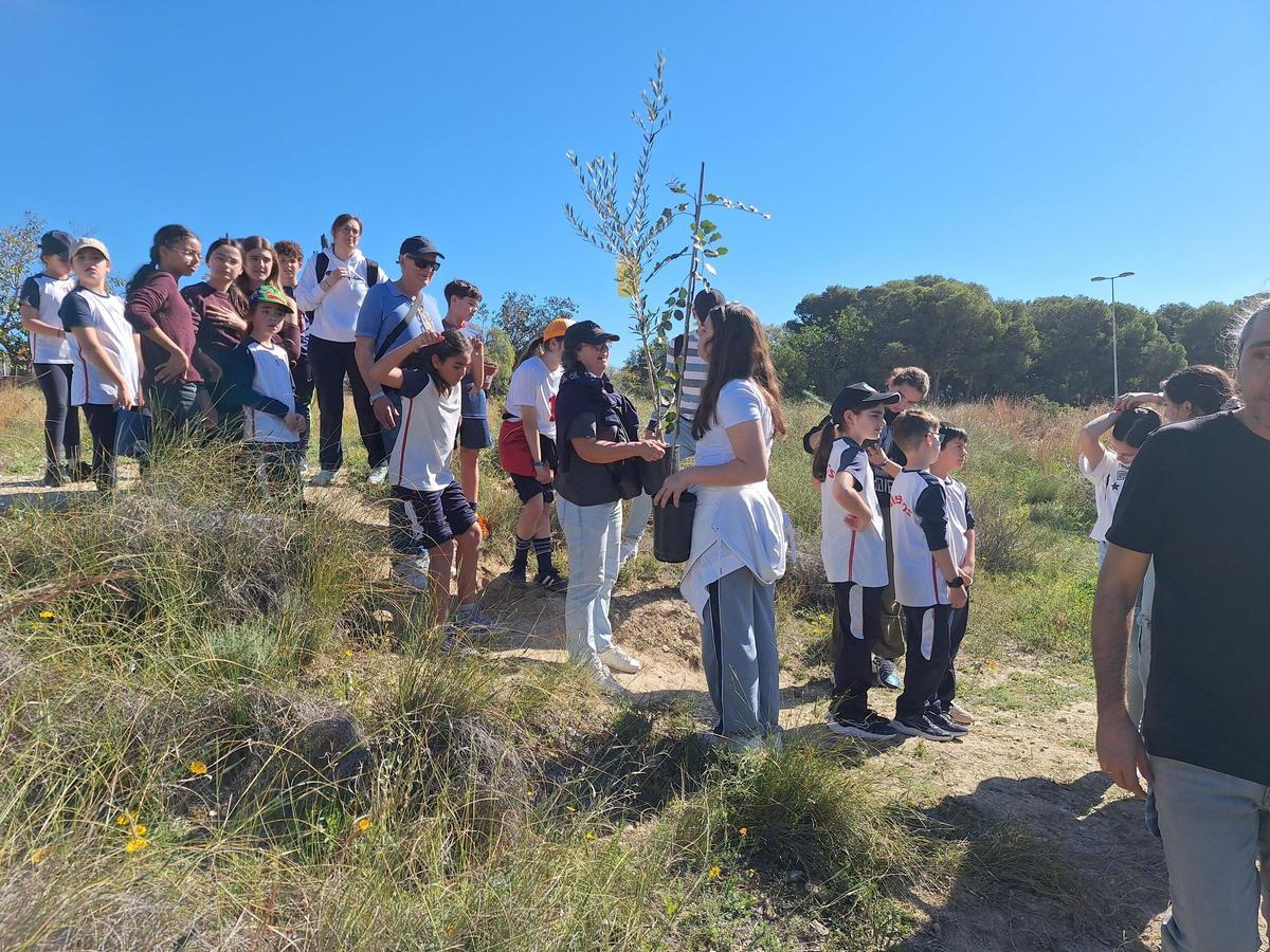 Un momento de la reforestación del bosque urbano